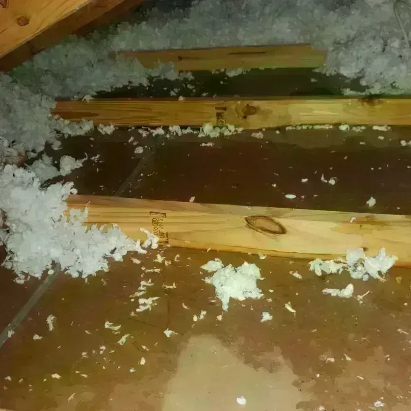 Attic Water Damage in Swarthmore, PA